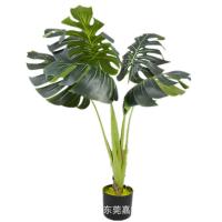 uploads/erp/collection/images/Home Garden/dgjiawang/XU0612567/img_b/XU0612567_img_b_5